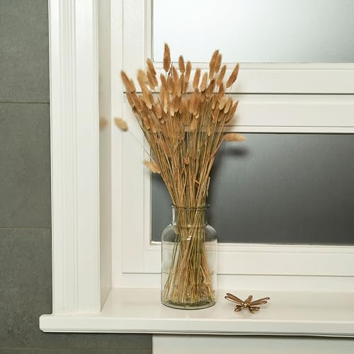 Pampasgras getrocknet Hasenschwanzgras Lagurus getrocknet Trockenblumen 60 Stück Deko Trockenblumen groß, Boho Deko, getrocknete Blumen Tischdeko, Dekozweige für Trockenblumenstrauß