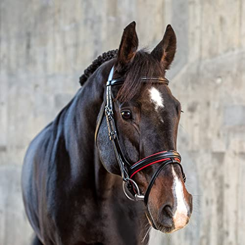 SUNRIDE englisch kombinierte Trense Hawaii mit Zügel, aus weichem Echtleder, farbig unterlegt, verstellbar und anatomisch (Pony, schwarz/rot)