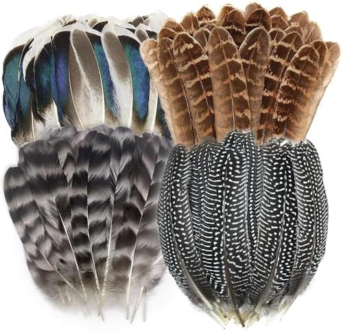 BelleVive 40 Stück natürliche Fasanenfedern, gefleckte Federn, Truthahnfedern, 4 Stile Federn zum Basteln, für Hüte, Blumenarrangements, Flügelfedern, Hochzeiten, Zuhause und Partys