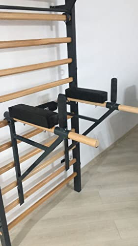 ARTIMEX Klimmzug Dip Ständer für Sprossenwand - Wird in Heimen, Fitnessstudios oder Fitnesscentern für Training und Fitness verwendet, Artikelnr. 270 (Grau (RAL 7016))