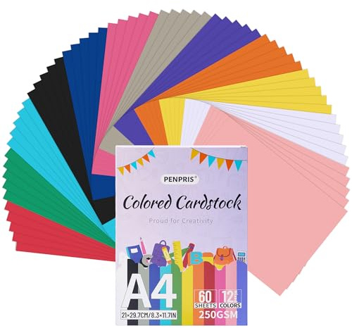 Cartulina Colorida - 60 Hojas 12 Colores Cartulina Color A4 Tamaño Papel Cartón 250gsm/92lb Cartulina Pesada para Impresora, Fabricación de Tarjetas, Artesanía DIY, Álbumes de Recortes PAC06MX1