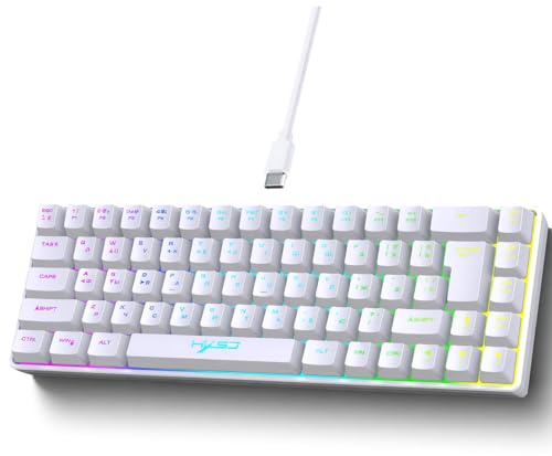 SENECESLI USB -Tastatur mit Russischen Englischen Buchstaben, 68 Taste RGB Backbeleuchtung Gaming Mechanische Tastatur mit Schneller Antwort auf den PC -Laptop (White)