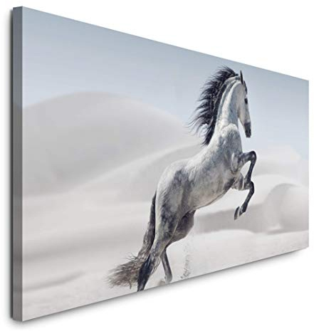 Paul Sinus Art GmbH Weißes Pferd 120x 50cm Panorama Leinwand Bild XXL Format Wandbilder Wohnzimmer Wohnung Deko Kunstdrucke