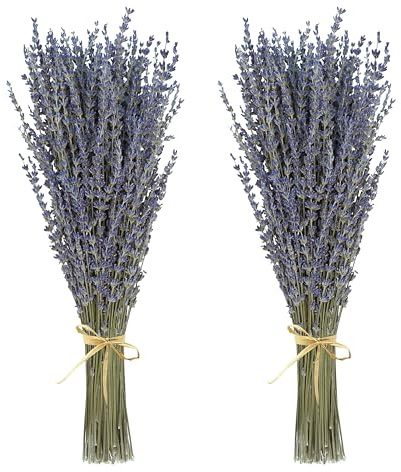 Dried Lavender 2 Bunches 100% Fresh Natural Purple Bouquet Flowers for Bathroom Photo Props Crafts Decoration, 15-17 for Shower Weeding Vase Decor, Home Fragrance(200-220 Stems(100g/3.5oz Total))