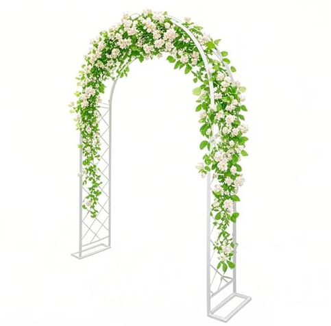 Treillis Arche de Roses Vignes de Glycine, Support pour Plantes Grimpantes Arceau en Acier, Robuste Arc Noire Vert Espalier, Pergola Tonnelle Jardin 140 180 200 220 240 280 300cm(White,2.20m x 2.40m)