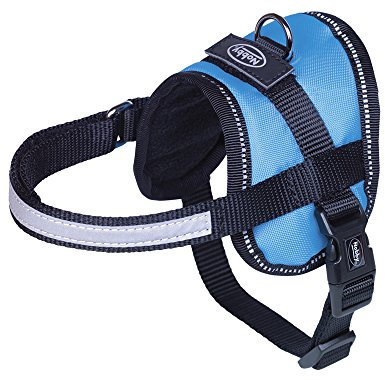 Nobby 80579-32 Geschirr Seguro Mini Bauch, hellblau