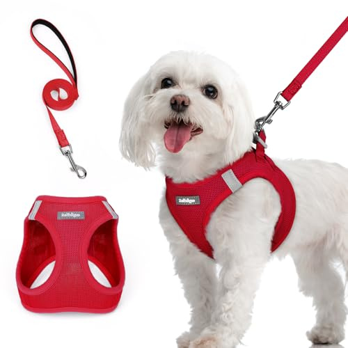 rabbitgoo Arnes Perro Pequeño con Correa Reflectante, Rojo M, Chaleco Perro Ajustable Fácil de Poner, Arnes Antitirones de Malla Suave Transpirable, Arnés para Perros Pequeños Cachorros