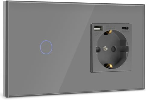 BSEED Interruptor con Enchufe USB,Schuko Enchufe con 1 Puerto Tipo C y 1 Puertos USB,1 Gang 1 Vía Interruptor de Luz con indicador LED,Gris enchufes de extensión para Smartphone,Tableta,auriculares