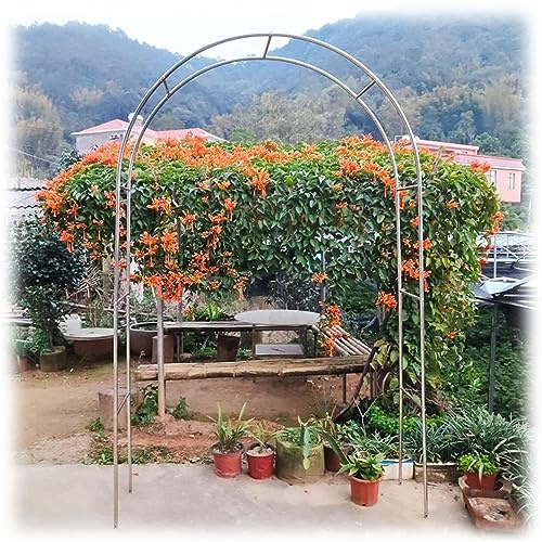 DHGVCED Gartenbogen Aus Edelstahl Rosenbogen Aus Metall Garten Torbogen Rankgitter Rosenhilfe Wetterbeständig Rankhilfe Spalier(Size:200 * 240cm(78 * 94in))