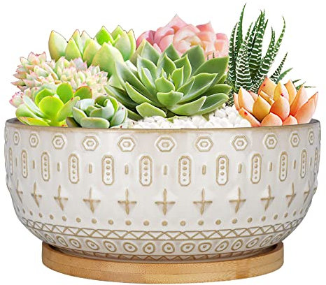 Fivepot 20.5CM Ceramic Succulent Planter Pots with Drainage Hole for Indoor Plants Round Shallow Bonsai Flower Pot with Bamboo Tray White