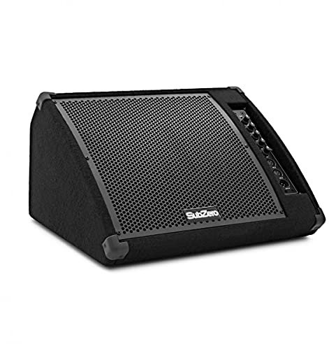 SUBZERO 230W 12 Active Floor Monitor with 3-Band EQ & Mic Input