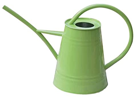Thaoxl Regadera de Metal Tradicional de 2000 ml,regadera de Estilo Moderno de Granja de 0,6 galones con Pico Largo,para Plantas Bonsai Interior Casa Oficina (Color : Green, Size : 2L)