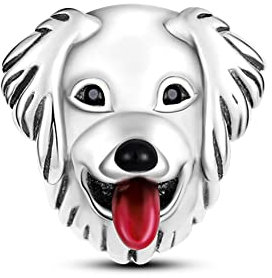 TINSLO Charm Anhänger Damen 925 Sterling Silber für Armband Charms Beads passend für Pandora Armband und Halskette, Kompatibel mit Europäischen Armbänder für Frauen Mädchen B11