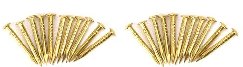 TOPINCN Chiodi in Ottone a Testa Tonda da 200 Pezzi per Cerniere Scatole Progetti Artigianali Chiodi a Testa Tonda Cerniera per Mobili Set di Accessori Hardware per Il Miglioramento della