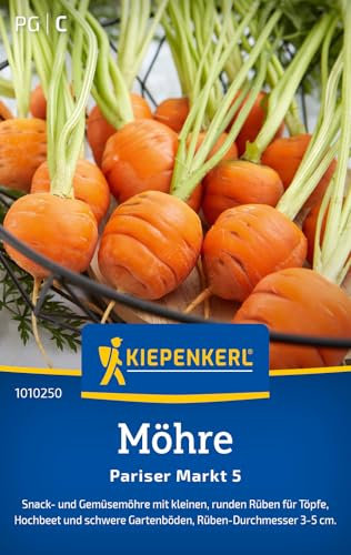 Kiepenkerl Möhrensamen Pariser Markt 5 1010250 – Snack- und Gemüsemöhre mit kleinen, runden Rüben für Töpfe und Beete - Saatgut, Samen Gemüse, Karotten