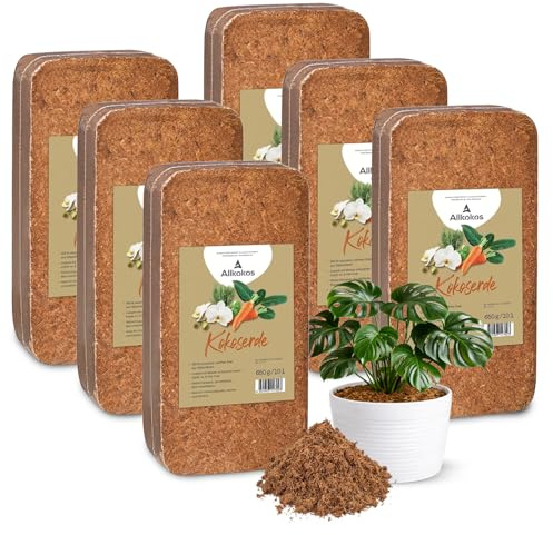 Allkokos 6x650g hochwertige Kokoserde für Pflanzen & Blumen | Block quillt zu 9L Pflanzenerde, torffreies Kokossubstrat, 100% natürliche Kokosfaser Erde mit pH 5,5–6,8