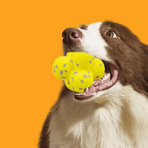Donubiiu pfotenstern kauzauber Ball, Pfotenstern Magic Ball,Kauzauber-Ball für Hunde, Hundeball-Spielzeug für Aggressive Kauer,Hunde Ball für Große, Mittelgroße, Kleine Hunde