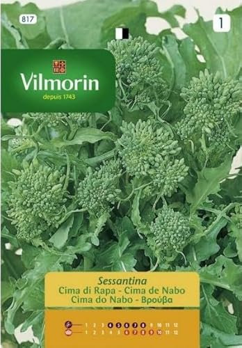 Semi Cime di Rapa Sessantina S1-817 13 Gr, Confezione da 10 bustine.