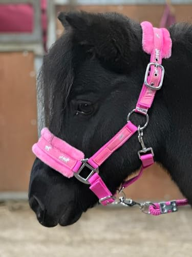 Equipride Halfter mit Pferde-Druck, Kunstfutter, Nylon, mit passendem Leinen-Seil, Rosa (voll)