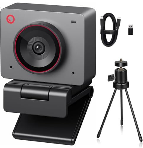 OBSBOT Meet 2 Ultra HD 4K Streaming Webcam, 1080p at 60 FPS, Videokonferenz Kamera mit KI Automatischem Bildausschnitt, USB-C, Dual Noise Reducing Mics, Works with Microsoft Teams/Zoom- Grau