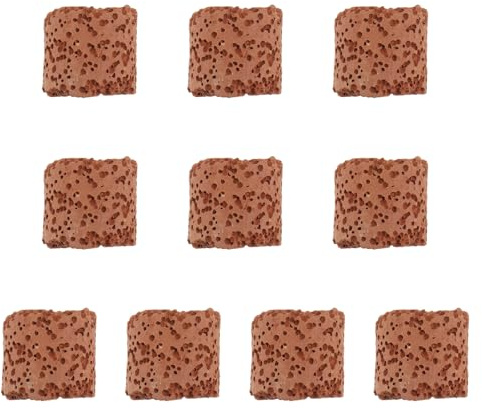 MUELODSIC 10 Piezas Anillo Fijo para Plantas Acuáticas Accesorio Duradero para Peceras Soporte Práctico para Decoración de con Plantas Naturales