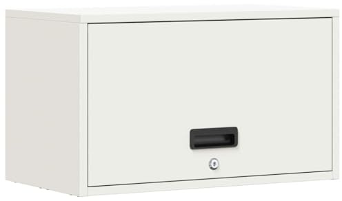 Tomostar Armoire Murale de Rangement Garage, Armoire Suspendue à Outils en Métal pour Atelier Garage Blanc 60x33x35 cm