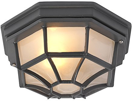 Qazqa rústico Lámpara de techo rústica gris oscuro IP44 - BRI L Aluminio/Vidrio Redonda Adecuado para LED Max. 1 x 100 Watt