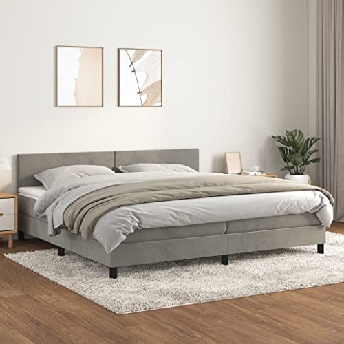 Willood Boxspringbett mit Matratze Hellgrau 200x200 cm SamtSchlichtes Design