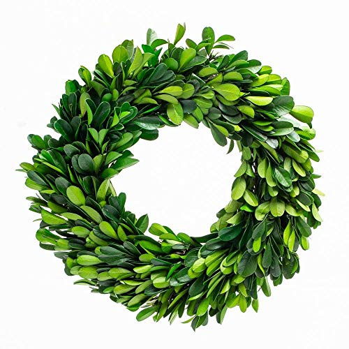 Boxwood Wreath 10 inch Preserved Nature Boxwood Wreath Home Decor Stay Fresh for Years Rustic Farmhouse Holiday Home Decor, Halloween Christmas Wreath