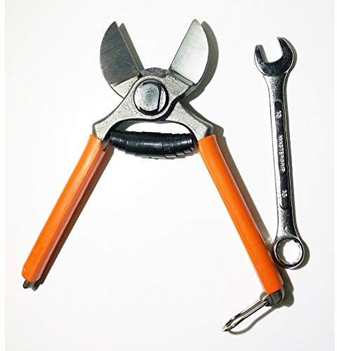 Tradeshoptraesio_Ox Forbice da Pota Potatura a Doppio Taglio per Frutteto e Melo, 205 mm