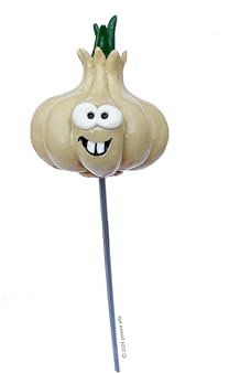 Marqueurs de potager pour l'étiquetage des semis/plantes, résistants aux intempéries, amusants, cadeau original et utile pour un jardinier. Étiquettes/panneaux de jardin, légumes (Ail)