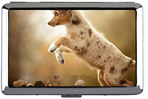 Visitenkartenetui Geldbörse, Kätzchen Tierpanda Visitenkartenetui Visitenkartenetui (Edelstahl)