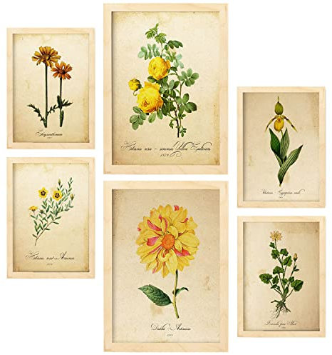 Nacnic Posters di Fiori Gialli. Manifesti Naturalistiche e Botaniche a Colori con Temi Floreali in Stile Carta Vintage. Progettazione e decorazione d'interni. A4 & A3 Cornici in legno.