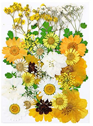 siduytin Trockenpflanzen Aufkleber Kollektion, echte Blumen Aufkleber, Materialien, bunt, gepresste Probe, Etikett, Schmuck, Postkarte, Lesezeichen, Typ 1