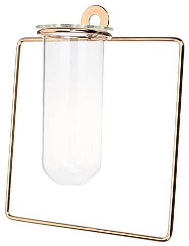 WEKADRIN Wandvase Aus Glas Reagenzglas Pflanzgefäß Hydroponisch Für Zimmer Pflanzenvermehrung Dekorative Glaswandvase Klein Französisch Gold