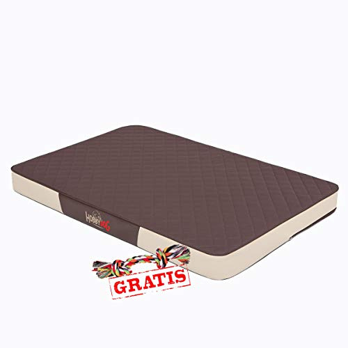 HobbyDog Premium MPRBKB5 + Spieltau gratis Hundebett Codura Öko-Leder Hundematte Hundematratze Schlafplatz (3 Verschiedene Größen) (M (80 x 54 cm))