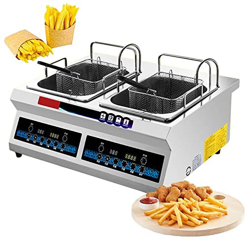 Friggitrice elettrica con cestello rimovibile ed elemento riscaldante professionale, cestello rimovibile facile da pulire, controllo della temperatura regolabile (Color : Style1, Size : 10Lx2)