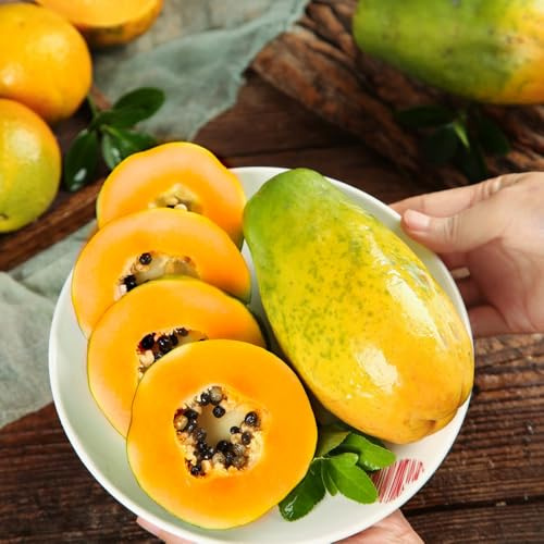 papaya samen zum pflanzen, pflanzen garten, kübelpflanzen winterhart immergrün papaya baum biosaatgut, garten-geschenke zwergobstbäume, zimmerpflanze alte sorten saatgut, pflanze echt 50pcs
