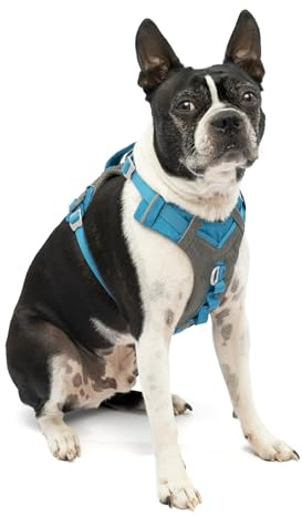 Kurgo Journey Air Hundegeschirr, S, Blau | Gepolstertes Bruststück, Leichtes Ripstop, Atmungsaktiv, Reflektierend