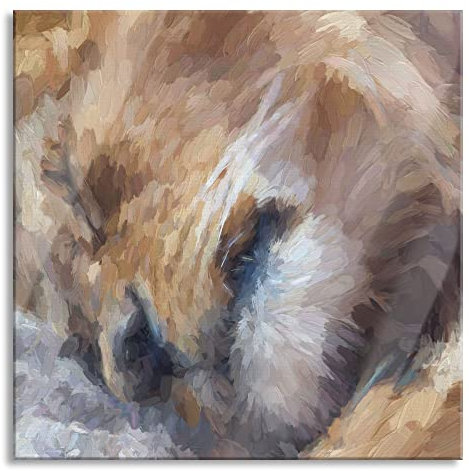 Pixxprint Glasbild, Wandbild auf Echtglas, schlafender Löwe Kunst, 60x60 cm, inkl. Aufhängung und Abstandshalter