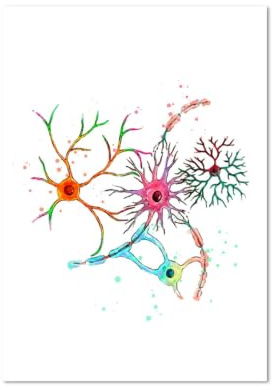 1st Neuron Akvarell Neurovetenskap Neurologi Väggkonstaffischtryck Hjärnanatomi Medicin Dukmålning Synapsklinikrum(F,40x60cm)