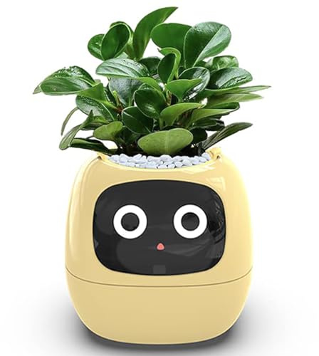 Vasi da fiori intelligenti, vaso per piante da interno, 49 espressioni ricche, 7 sensori intelligenti, chip AI, display LCD, controllo APP, fioriera intelligente Smart Garden per la casa bianco