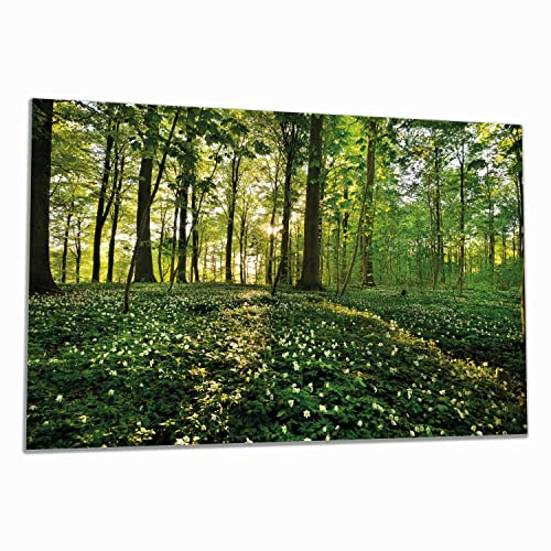 Wallario Herdabdeckplatte/Spritzschutz aus Glas, 1-teilig, 80x52cm, für Ceran- und Induktionsherde, Waldanemonen und Sonnenstrahlen im Wald