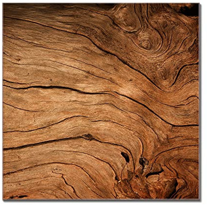 banjado® Glas Magnettafel mit 4 Magneten - Magnetwand 40x40cm mit Motiv Trockenes Holz - Memoboard/Pinnwand magnetisch, beschreibbar, perfekt für die Küche - Magnetboard auch als Wandbild/Wandtafel