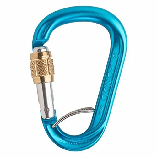 AustriAlpin HMS Rondo Screwgate Karabiner with Selfie blau