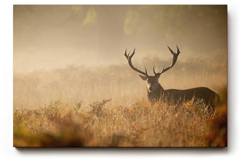 Sinus Art Wandbild 120x80cm Der majestätische Hirsch im Nebel erzeugt eine ruhige kraftvolle Stimmung im Raum