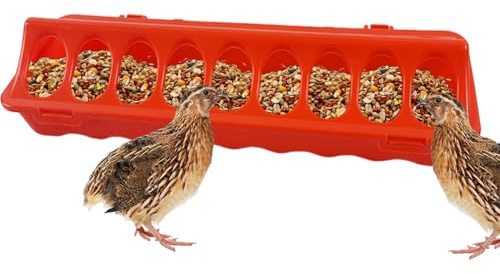 Fabricante de aves de corral - Bandeja De Alimentación De Aves | Fabricante De Pollo Coop | Solución Automática De Alimentación Agrícola De Gran Capacidad | Alimentador Sostenible De Poullltry