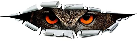 3D Lustiger Riss Auto Aufkleber, Asudaro 3D Tier Autoaufkleber Katzenauge/Tigerauge/Eulenauge Aufkleber Kreativer Lustige Deko Styling Autoaufkleber für Laptop Skateboard Koffer, 37cmx11cm,Eule