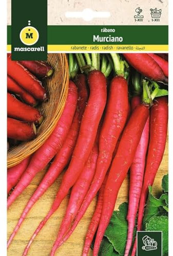 Mascarell Semillas, RÁBANO, Semillas Huerto, RÁBANO MURCIANO, Crea tu Propio Huerto Urbano y Cultivo en Casa, Plantas Hortícolas, 14 Gramos