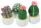 GARVALON Ornement Miniature Cactus Succulent Artificiel en Pot Plante Décoration De Bureau Maison Table Cactus Succulent